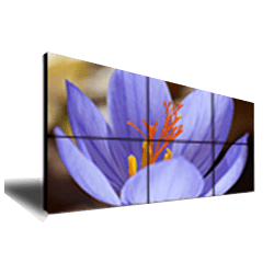 deltaVW_250x250-wpcf_250x250-stretched